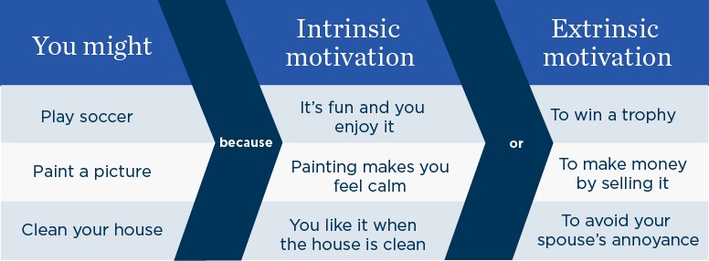 Intrinsic motivation chart