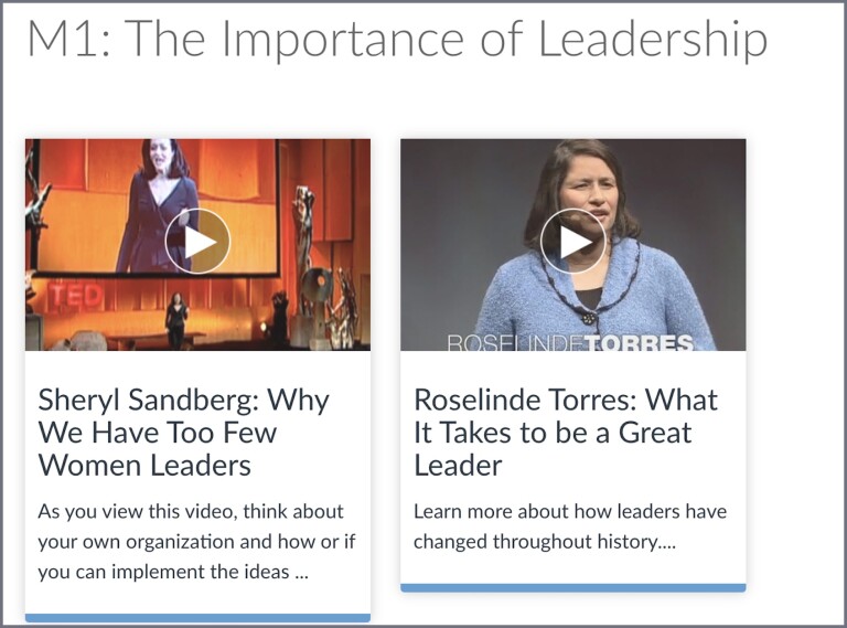 Screenshot of Canvas video wall/gallery.