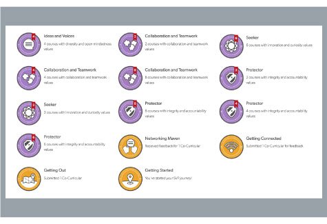Dashboard View of All SVP Badges