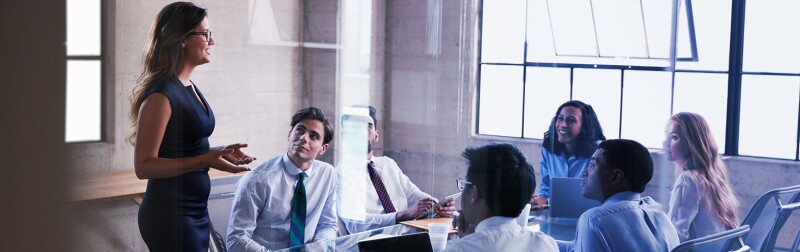 Businesswoman meeting with a group of professionals seated around a conference table.