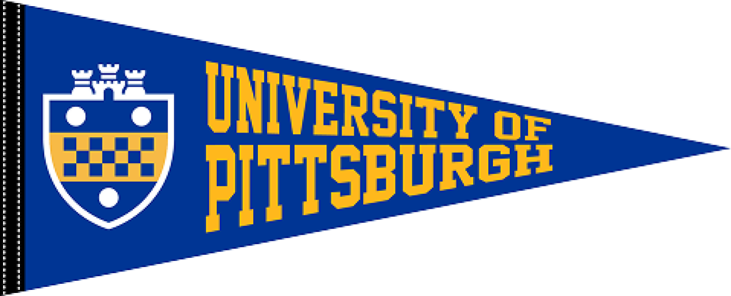 Blue University of Pittsburgh pennant flag with gold text and the university crest on the left side.