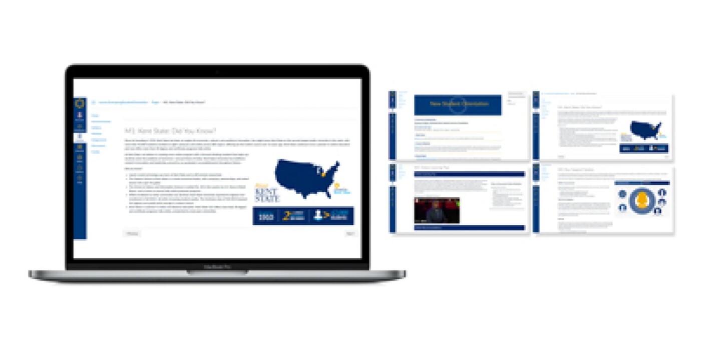 Screenshot of course pages in LMS