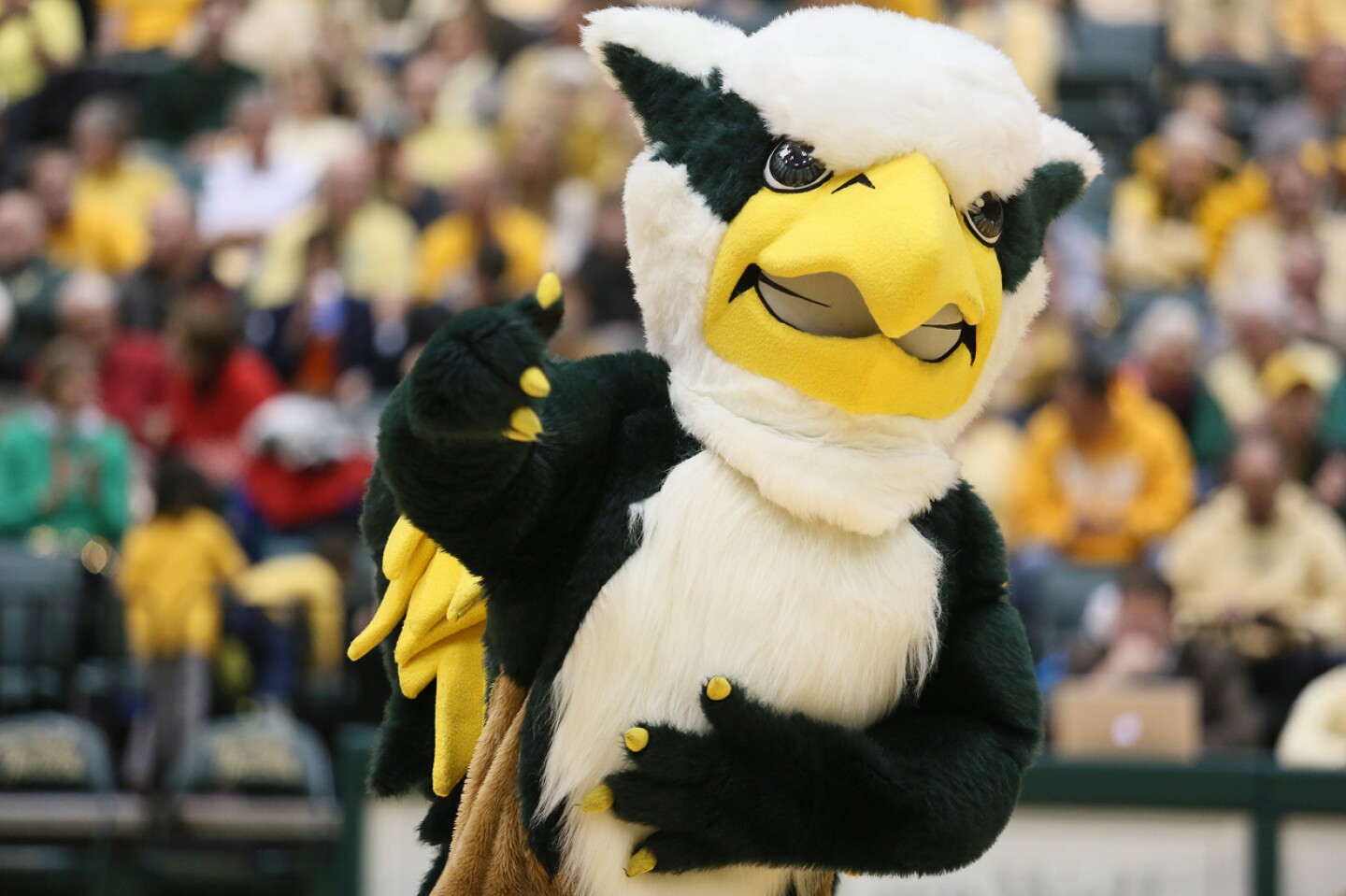 Griffin the mascot