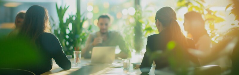 Team of business professionals is having a productive meeting in a modern office filled with natural light and lush green plants.