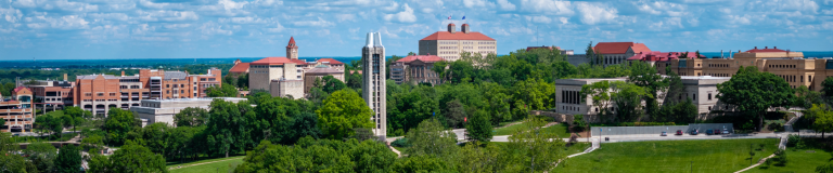 Kansas City cityscape of tops of buildings and treeline