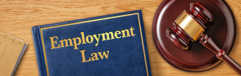 Overhead view of Employment Law book and gavel