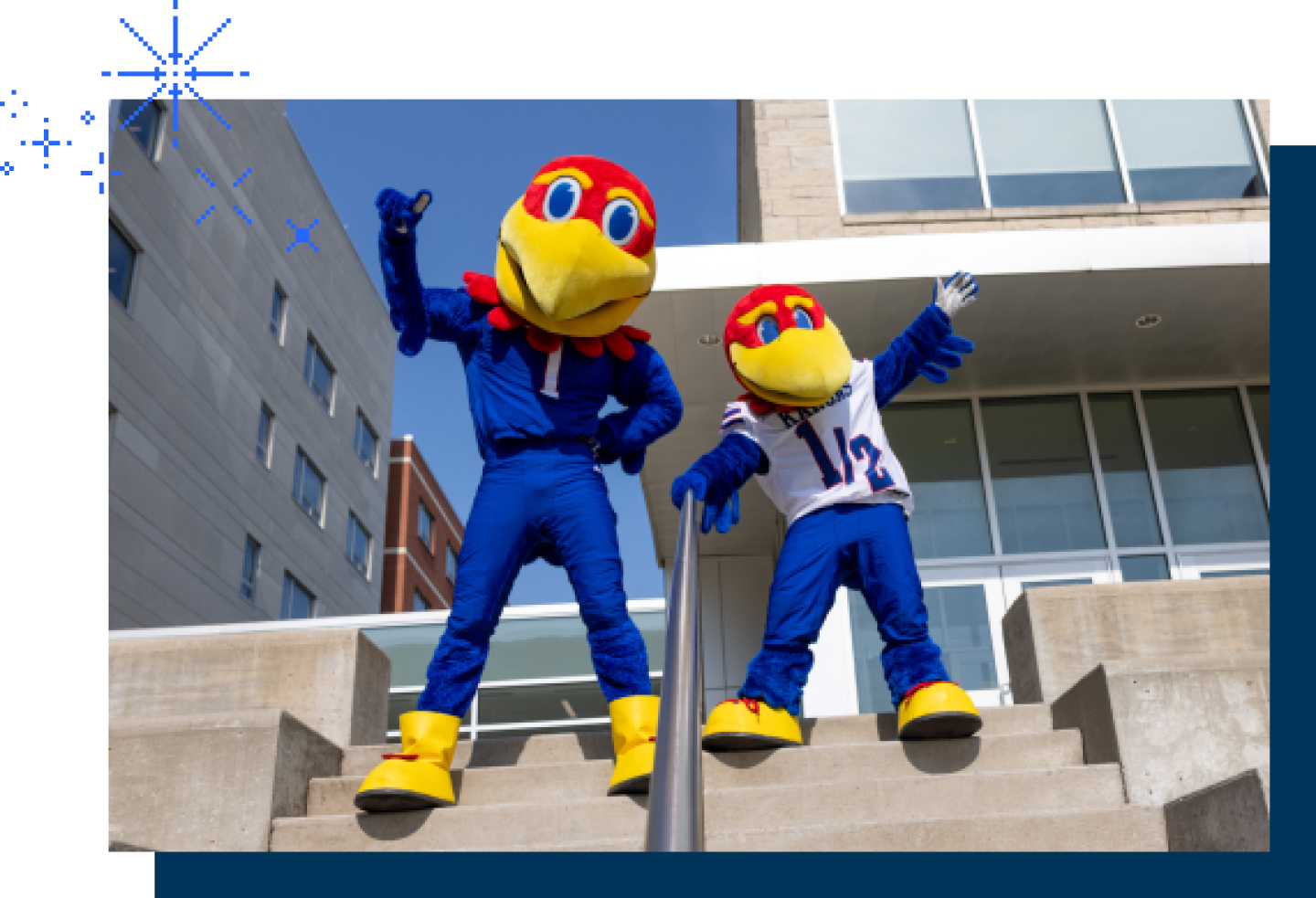 The University of Kansas mascots, Big Jay and Baby Jay, are standing on campus steps.
