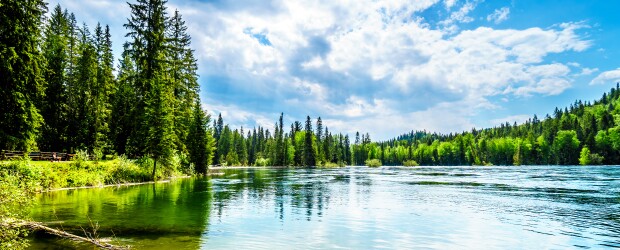 Clear lake surrounded by trees on a sunny day