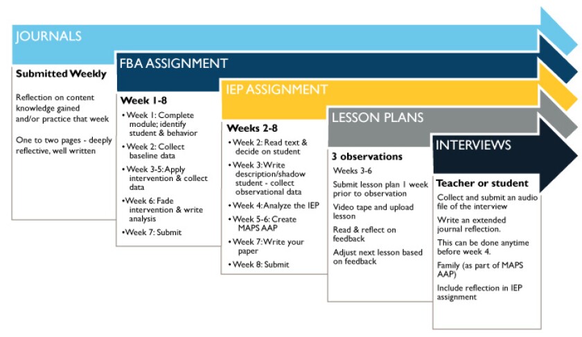 Special Education Masters Practicum