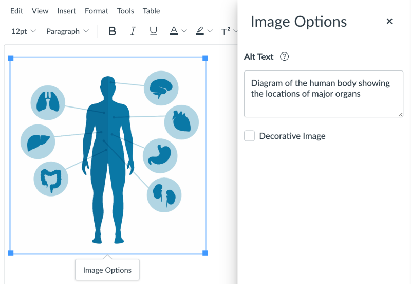 Writing descriptive alt text in the Canvas Rich Content Editor.