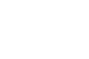 University of Kansas