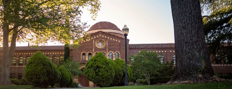 View of Chico State campus lawn with cone-shaped pine trees and brick building with rotunda in background