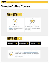 Online course interface