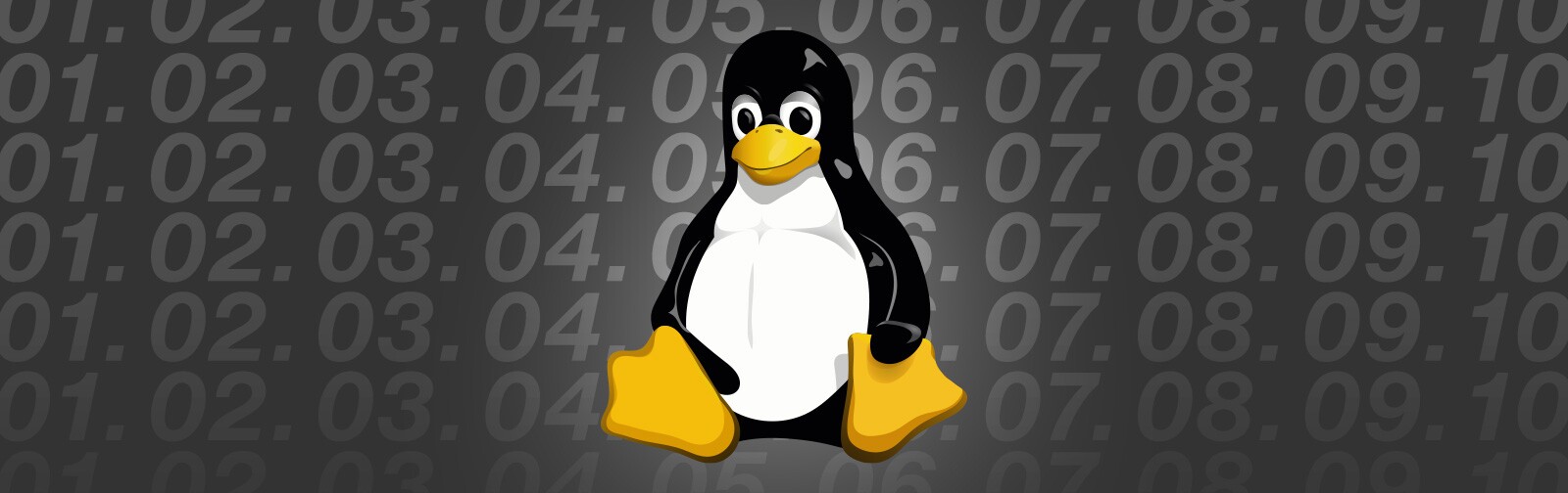 10 Best Linux Operating Systems for Hacking and Pentesting
