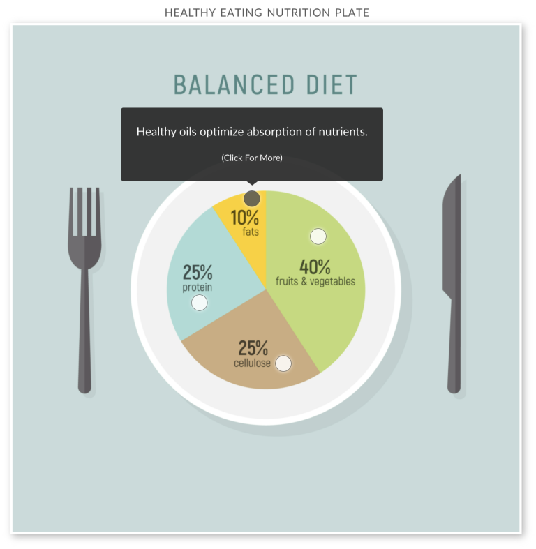 balanced diet plate cutup into sements