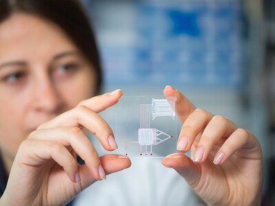 lady holding a computer chip