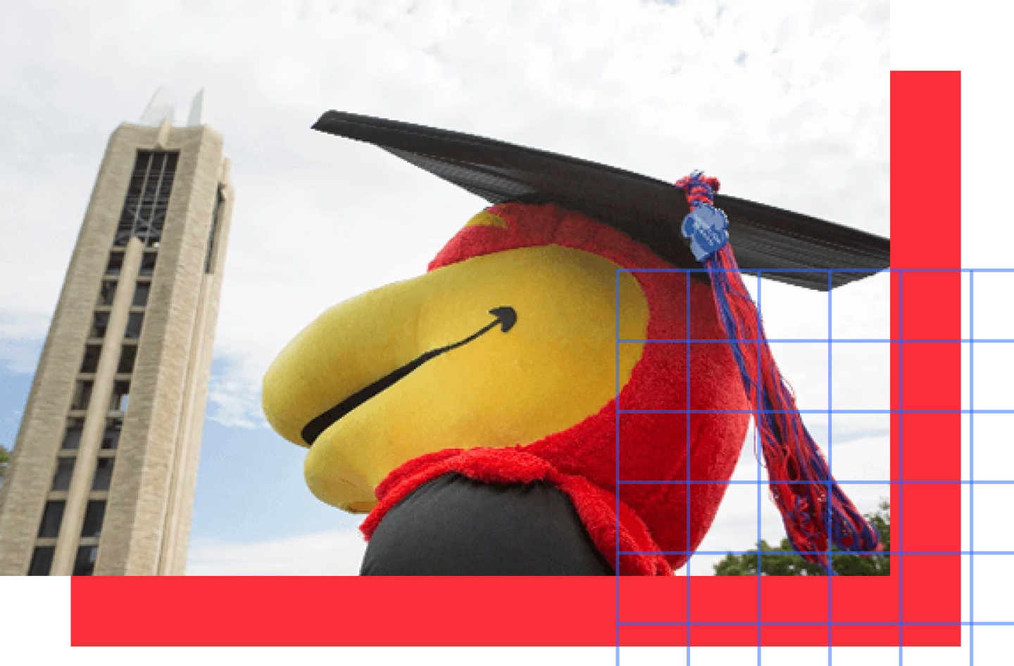Jawhawk mascot looking up at campus belltower.