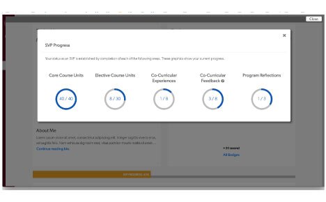 View of Progress in SVP Dashboard