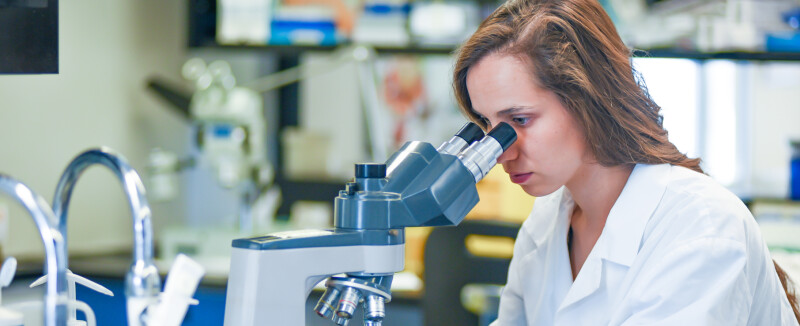 scientist working in biomedical laboratory
