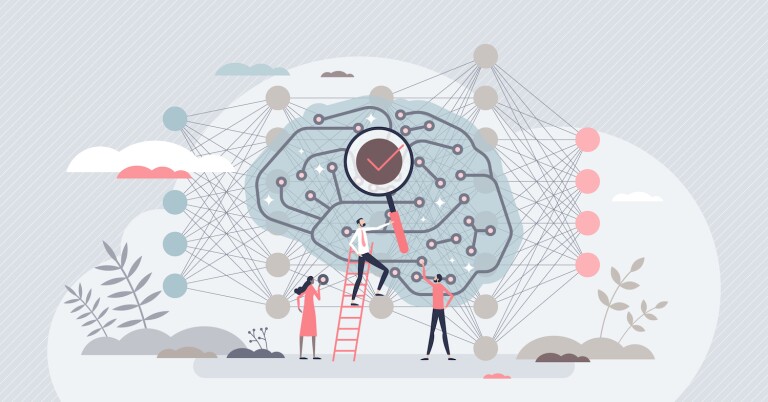 Examining the brain's neural networks