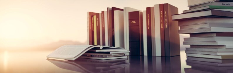 Group of Educational Law Books siting in front of a sunset.