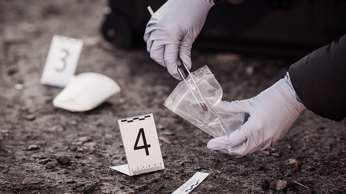 csi-jobs-an-investigation-into-an-exciting-career-path