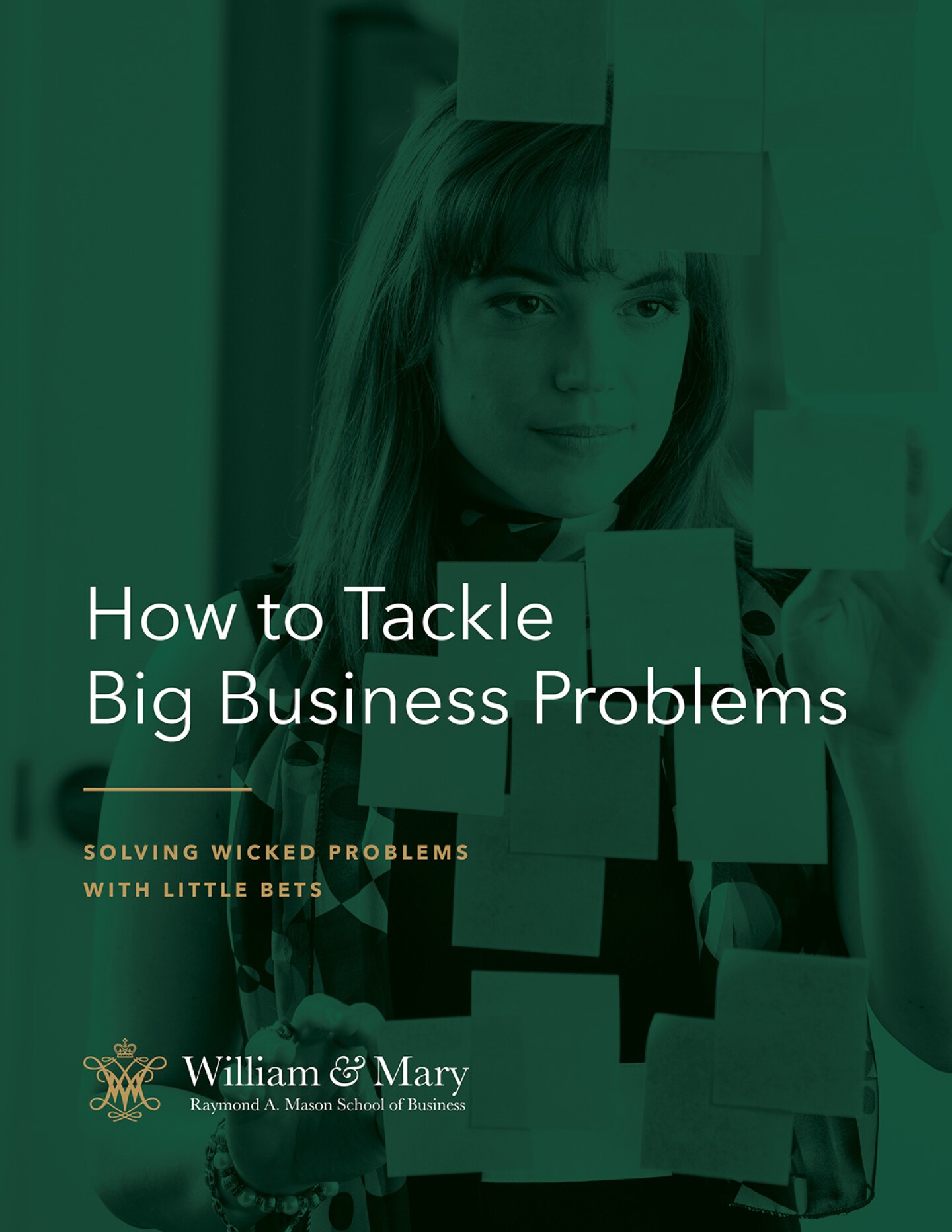 Thumbnail of How to Tackle Big Business Problems Ebook cover