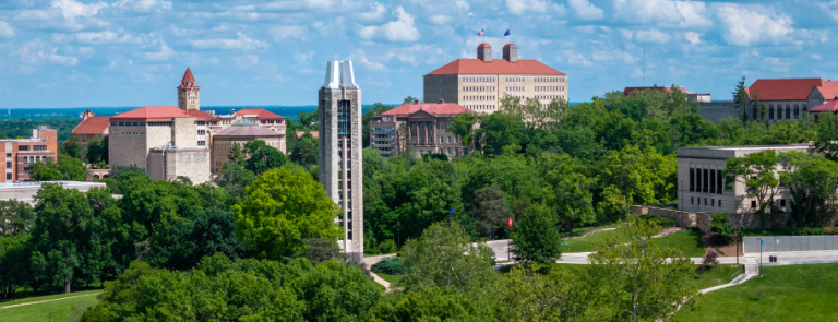 Kansas City cityscape of tops of buildings and treeline