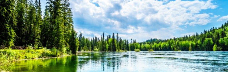 Clear lake surrounded by trees on a sunny day