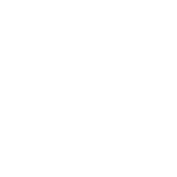 Booz Allen