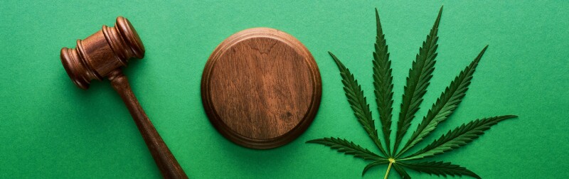 Top view of green marijuana leaf with wooden gavel on green background