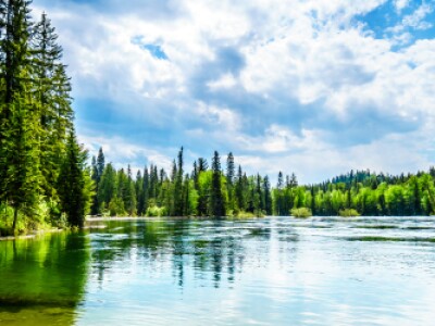 Clear lake surrounded by trees on a sunny day