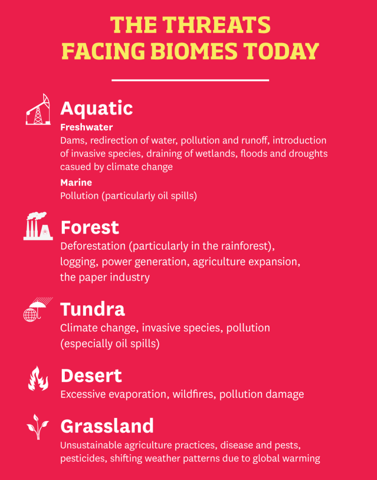 Human Interference and Its Effect on Biomes | Kent State Online GISc