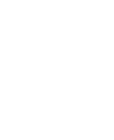 NFL Logo