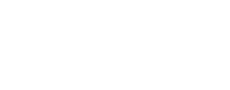 The University of Kansas