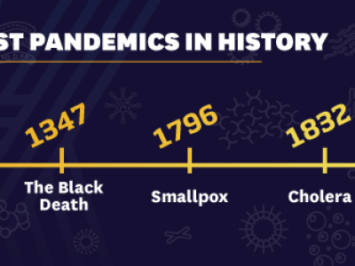 pandemic-timeline-graphic-navy-yellow