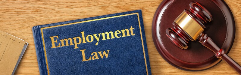 Overhead view of Employment Law book and gavel
