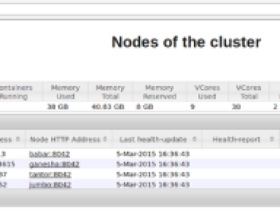 Hadoop_clusters_yarn_nodes