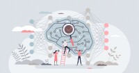 Examining the brain's neural networks