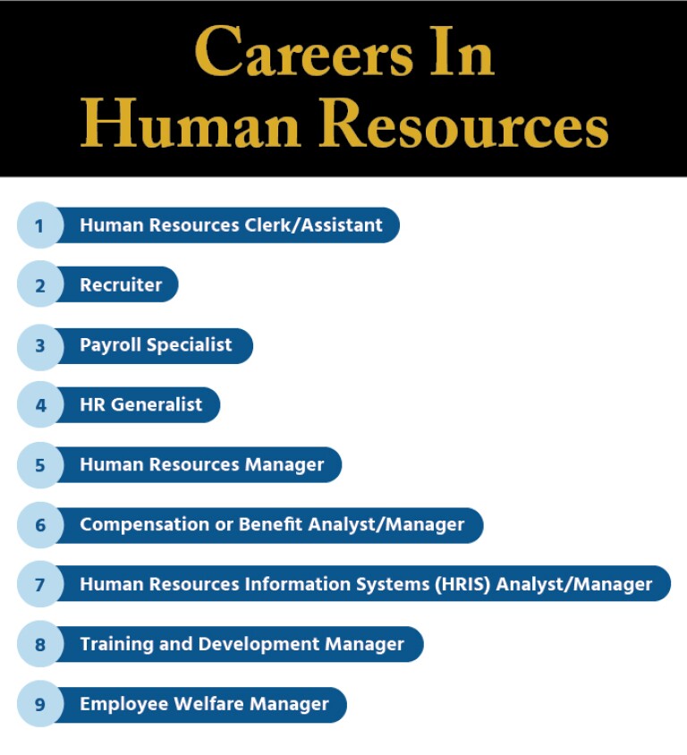 Which Hr Career Path Is Right For You Explore The Options