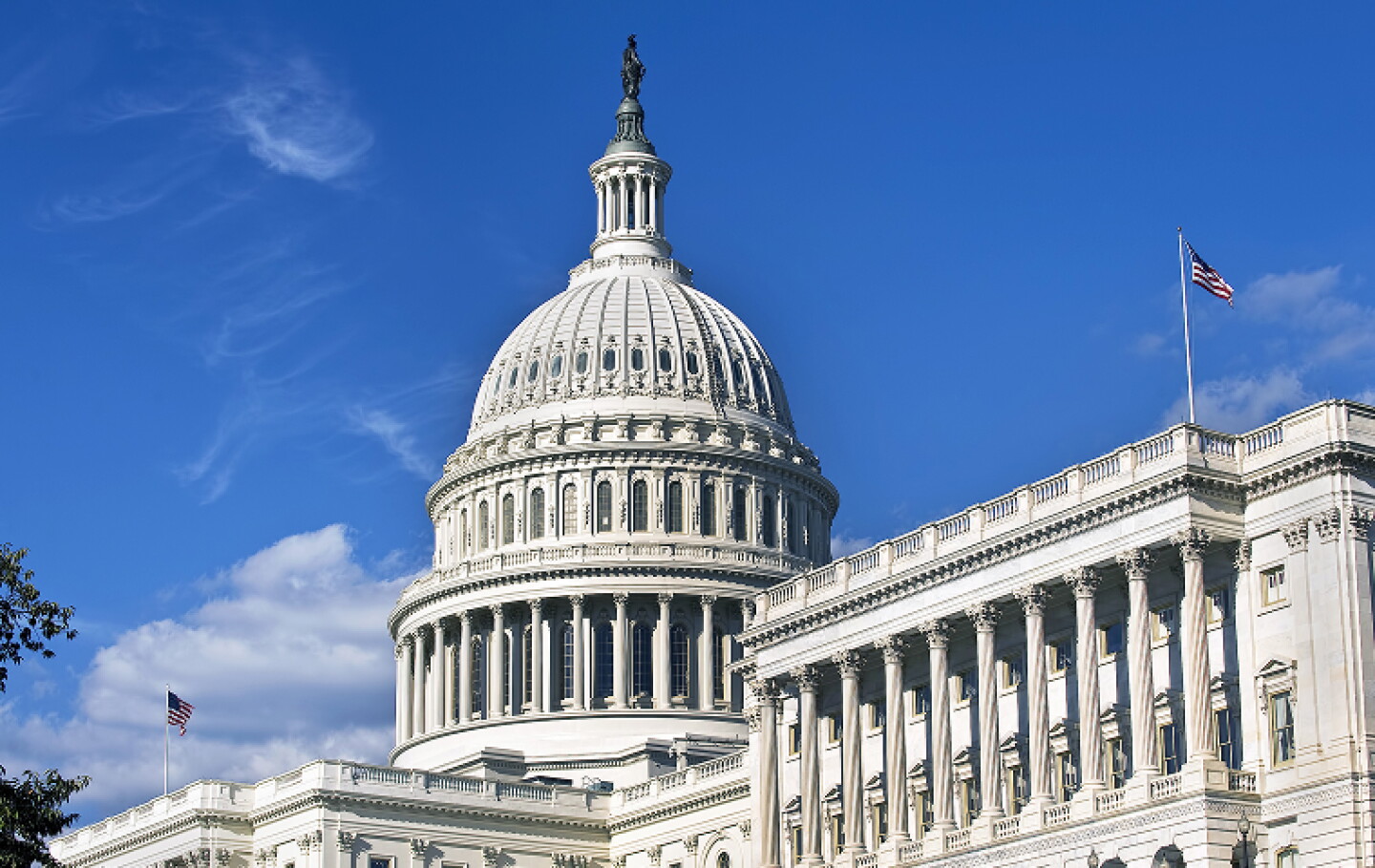 View of the United States Capitol building in Washington, D.C.