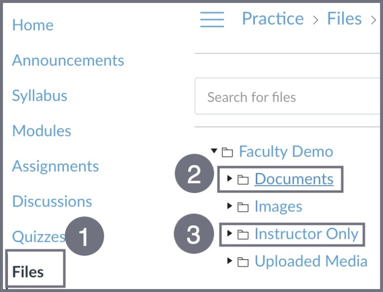 Screenshot of the Files selection in Canvas.