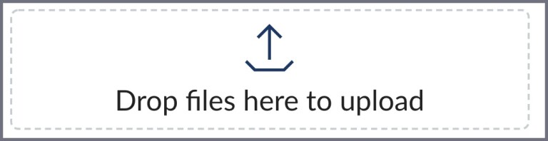 Screenshot of Canvas icon that says Drop files here to upload.