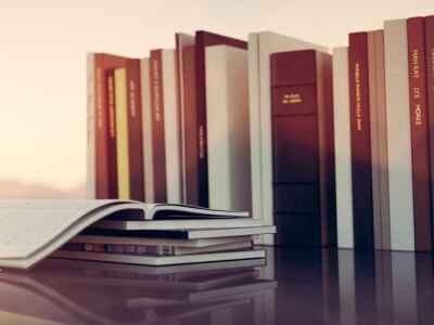 Group of Educational Law Books siting in front of a sunset.