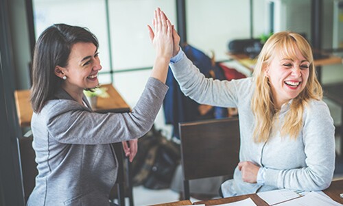 Admissions Consultant