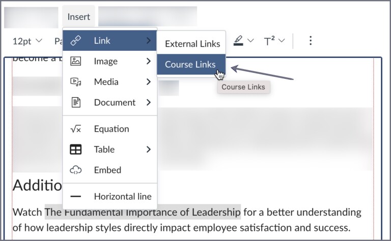 Screenshot of Canvas "add course links" option