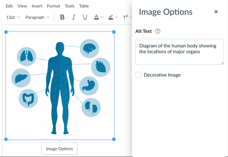 Writing descriptive alt text in the Canvas Rich Content Editor.