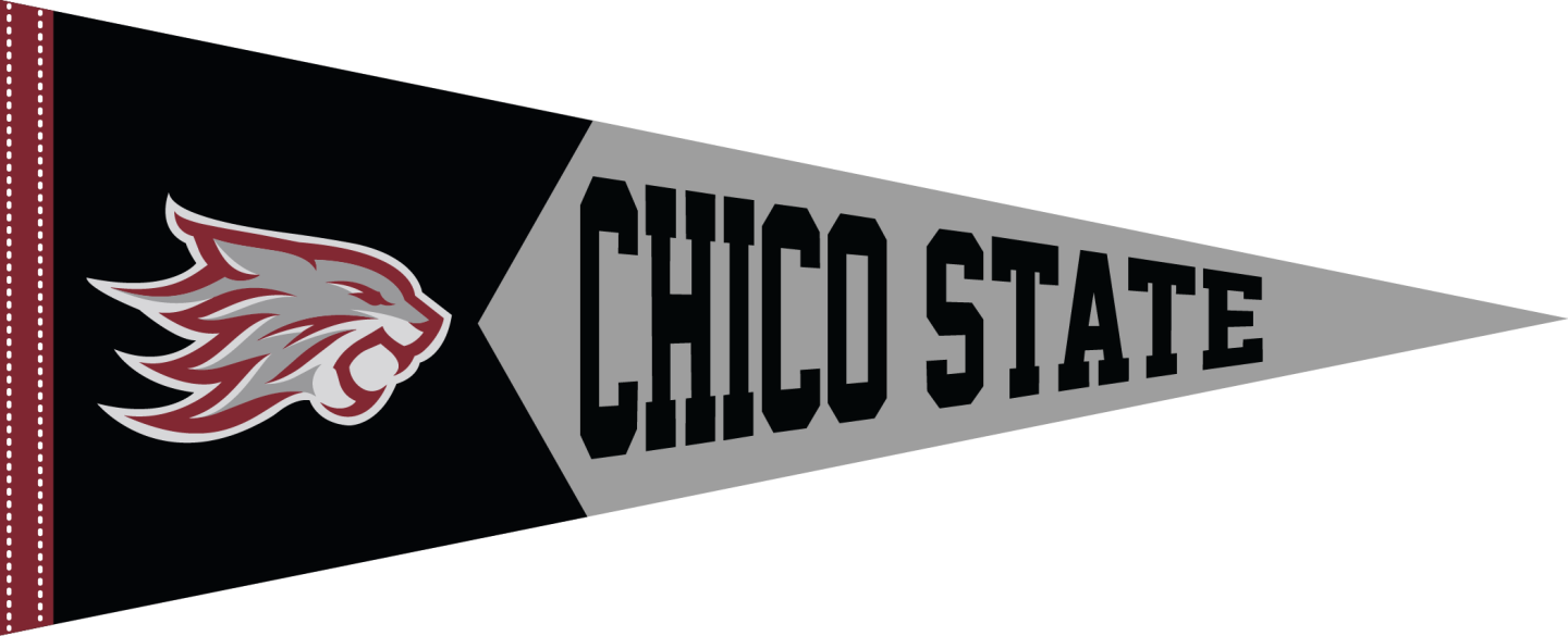 Chico State pennant with a wildcat logo on the left and "CHICO STATE" in bold black letters on a gray pennant against a black background.