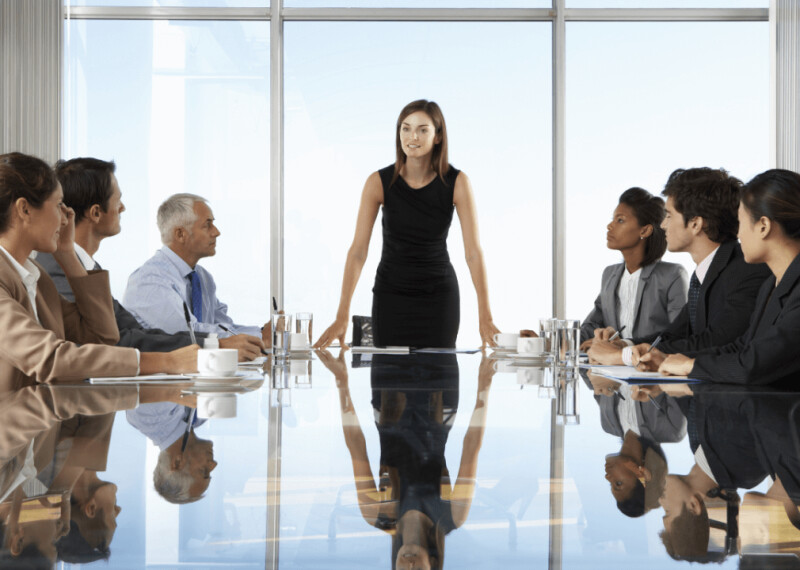 A CEO leads a business meeting