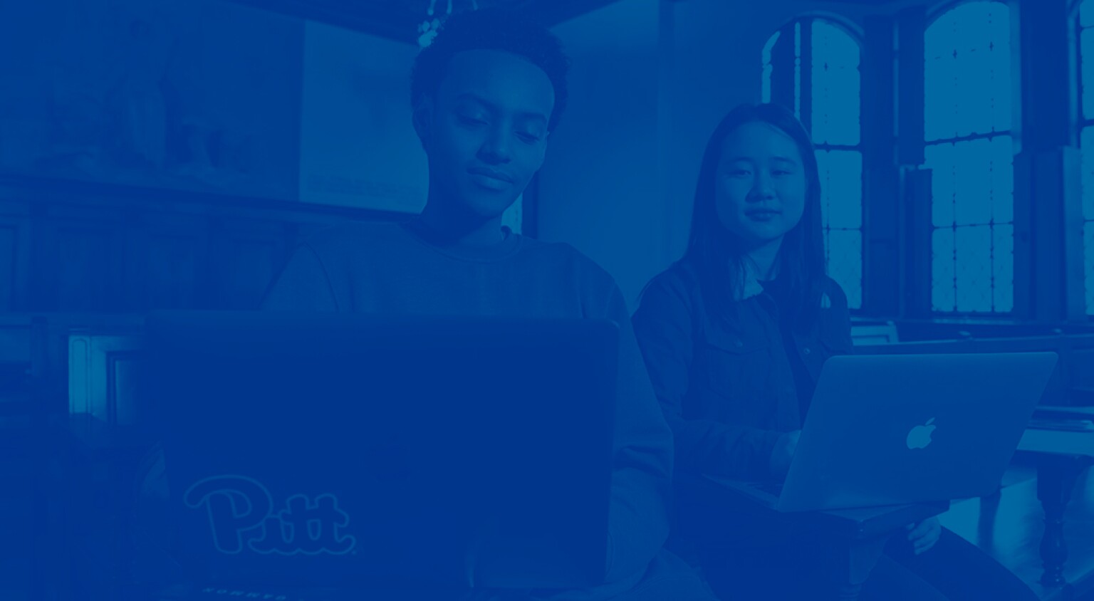 MSL Human Resources Pitt Law